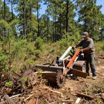 Forestry Mulching for Low-Impact Land Management